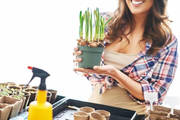 Gammal kvinna plantera frön i växthus — Stockfoto