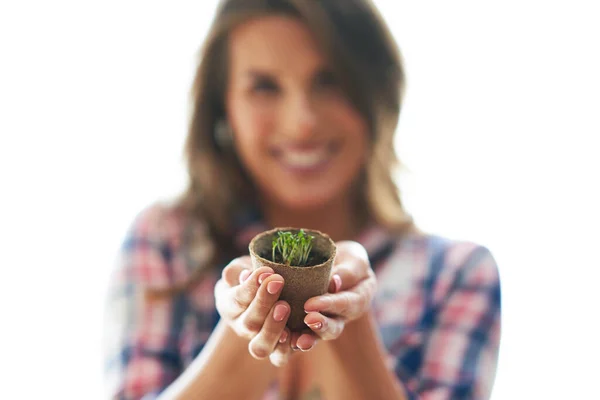 Mujer madura plantando semillas en invernadero — Foto de Stock