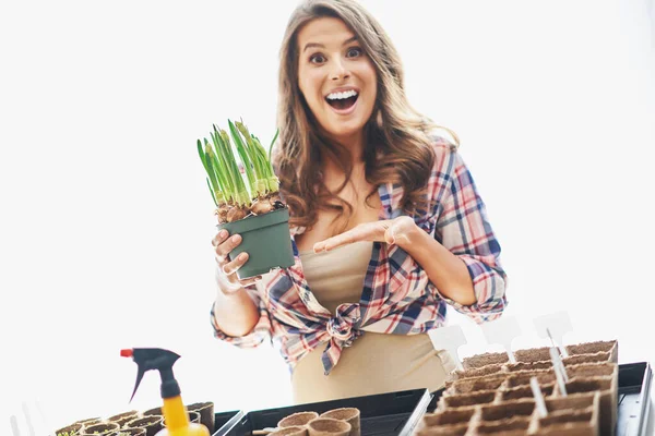 Mature woman planting seeds in greenhouse — Stock Photo, Image