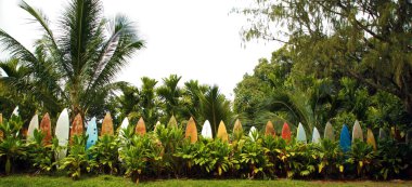 Eski bir kartpostala benzeyen renkli bir sörf tahtası.