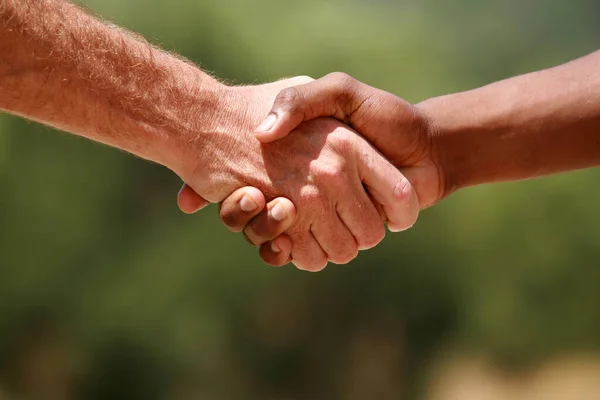 African American European American Men Shake Hands — Foto Stock