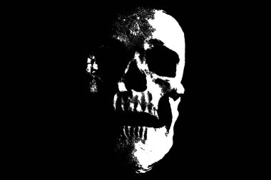 Siyah arkaplanda kafatasının görünümü