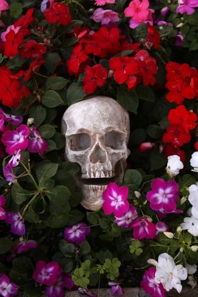 Skalle Med Blommor Halloween Människoskalle Vackra Blommor Läskiga Halloweenbilder Dödas — Stockfoto