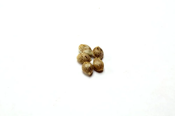 Close View Marijuana Seeds — Stock Photo, Image