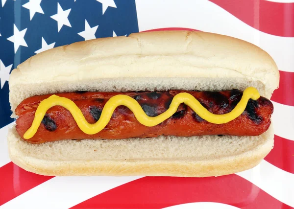 Amerikaanse Sandwich Met Frietjes Een Hond — Stockfoto