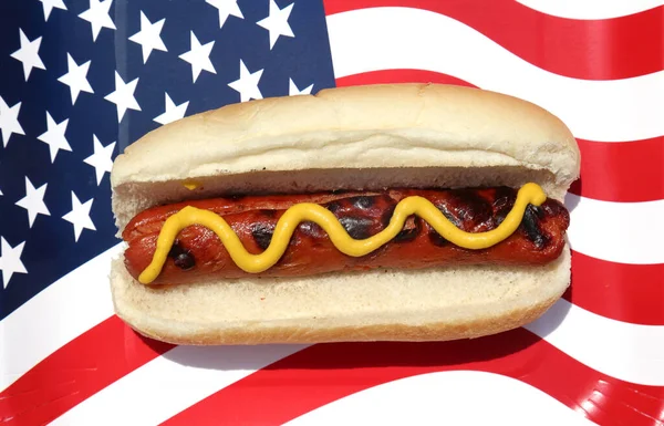 Американський Бутерброд Картоплею Фрі Собакою — стокове фото