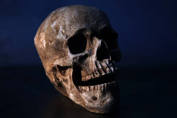 Vista Del Cranio Sfondo Nero — Foto Stock