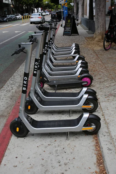 May 2021 Santa Monica California Usa Bird Electric Scooters Lined — Stock Photo, Image