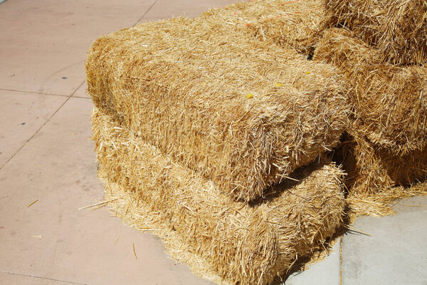 Piled stacks of dry straw collected for animal feed. Dry baled hay bales stack. Hay Bales piled up for Seating and baracades.