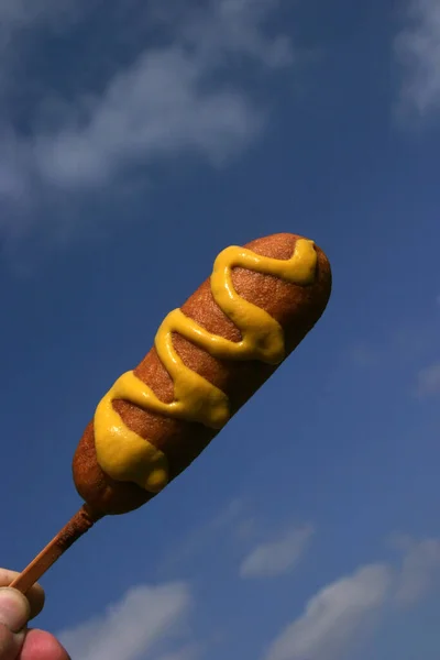 Perto Cachorro Quente Fundo Azul Céu — Fotografia de Stock