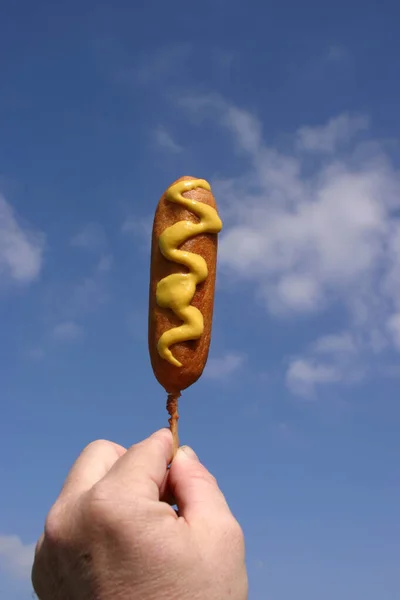 Zblízka Hot Dog Pozadí Modré Oblohy — Stock fotografie