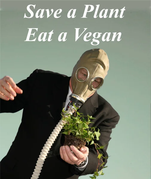 마스크를 사업가 식물을 구하고 채식주의자를 양복을 친화적 사업가와 마스크가 녹색식물을 — 스톡 사진