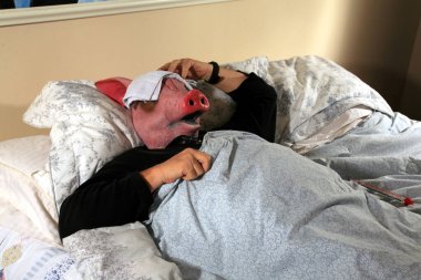 Domuz, Meksika Domuz Gribi Salgınını temsil eden büyük bir termometre taşıyor. Domuz, domuz gribi yüzünden yatakta hasta. Domuz gribi domuzu H1N1. 