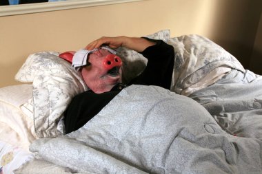 Domuz, Meksika Domuz Gribi Salgınını temsil eden büyük bir termometre taşıyor. Domuz, domuz gribi yüzünden yatakta hasta. Domuz gribi domuzu H1N1. 