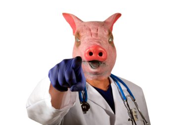 Domuz Doktor. Bir domuz adam Doktor Pelerini giyer ve seni muayene etmeye hazır. Domuz maskeli bir doktor, Meksika Domuz Gribi Salgınını temsil eden büyük bir termometre tutuyor. Doktor Domuz Adam kâbusu..   