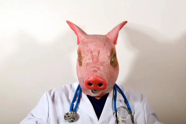 Pig Doctor. A Pig Man wears a Doctor Cloak and is ready to examine you. A Doctor in a Pig Mask holds a large cooking thermometer representing the Mexican Swine Flu Pandemic. Doctor Pig man nightmare.