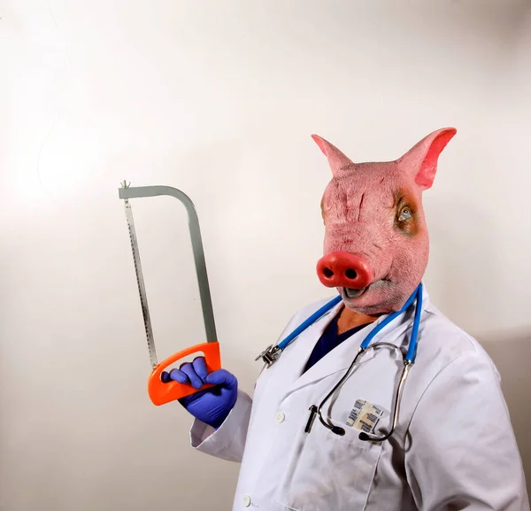 Pig Doctor. A Pig Man wears a Doctor Cloak and is ready to examine you. A Doctor in a Pig Mask holds a large cooking thermometer representing the Mexican Swine Flu Pandemic. Doctor Pig man nightmare.
