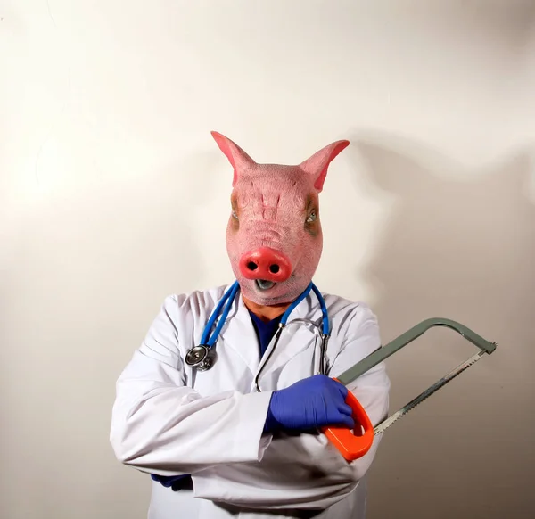 猪医生 猪人穿着医生的衣服 准备给你做检查 猪面具医生拿着一个代表墨西哥猪型流感大流行的大型烹饪温度计 猪医生梦魇 — 图库照片
