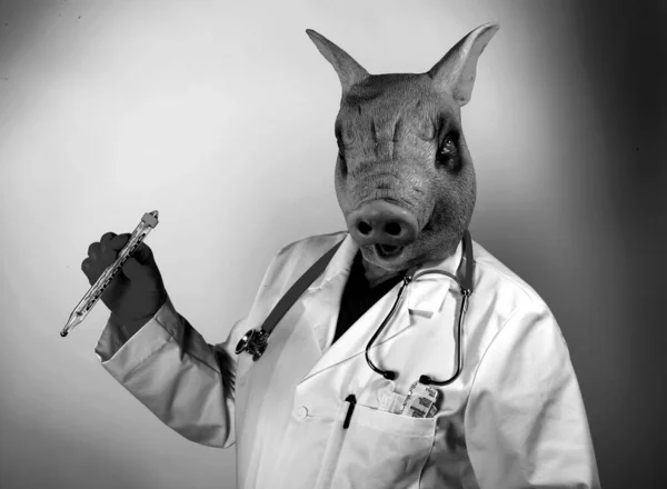 Pig Doctor. A Pig Man wears a Doctor Cloak and is ready to examine you. A Doctor in a Pig Mask holds a large cooking thermometer representing the Mexican Swine Flu Pandemic. Doctor Pig man nightmare.