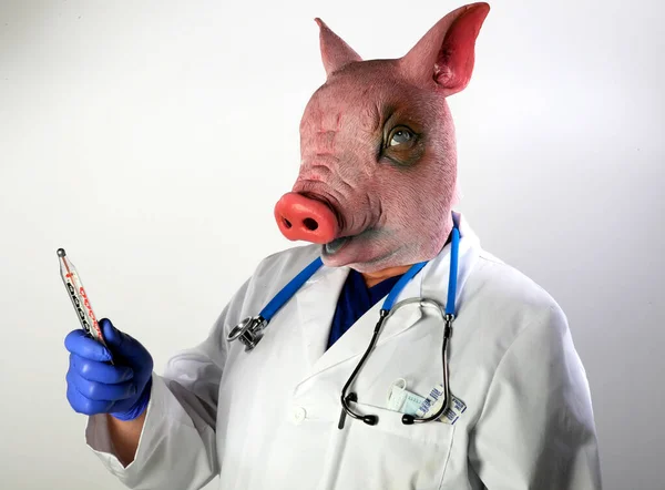 Pig Doctor. A Pig Man wears a Doctor Cloak and is ready to examine you. A Doctor in a Pig Mask holds a large cooking thermometer representing the Mexican Swine Flu Pandemic. Doctor Pig man nightmare.