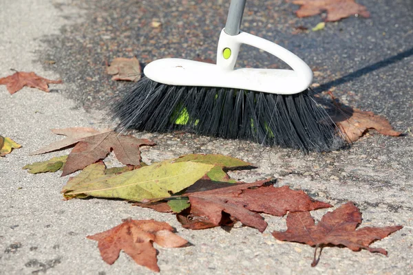 Street cleaner sweeping fallen leaves outdoors on autumn day. sweeping leaves. sweeping the fallen yellow leaves. Cleaning leaves from the gutter with a broom.
