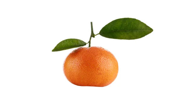 Orange Isolated White Orange Isolated White — Fotografia de Stock