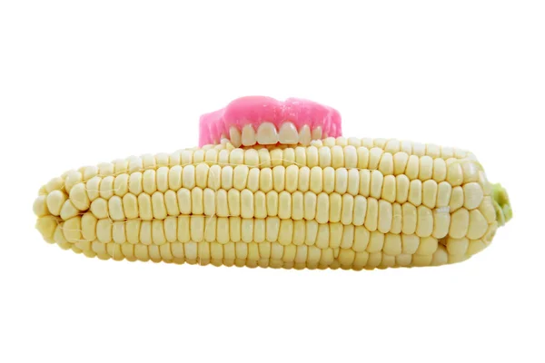 Corn Cob Isolated White Corn Cob Isolated White Corn Cob Royaltyfria Stockbilder