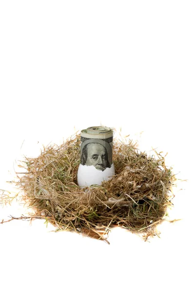 Nest Egg Poupança Reforma Poupar Para Dia Chuvoso Economia Para — Fotografia de Stock