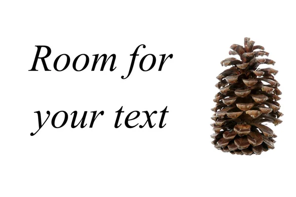 圣诞松果 被白色隔离 文字空间 快捷方式 杉树锥形 松果白色 孤立的松果 — 图库照片