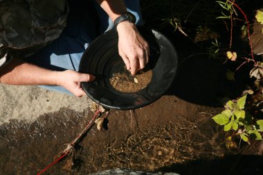 Altın kaplama. Ana damarı ya da en azından bir iki külçeyi bularak zengin olan bir adam. Suda altın külçeleri var. Eski altın işleme ekipmanları. Kayıp altını bulmak. Alaska altını. Altına hücum Yerdeki altınlar. Altın madeni. Altın Gelecek. 