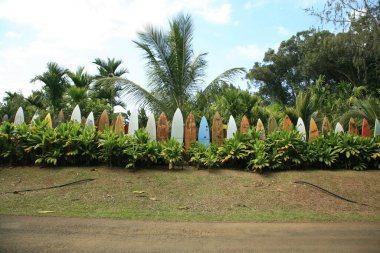 surfboard fence. a fence around a yard made of old broken surfboards. Hawaiian Surfboard Fence. Surf board fence among tropical vegetation on the island of Maui. A row of vintage surf boards in Hawaii. Colored surfboards. hang loose. aloha. Maui life clipart