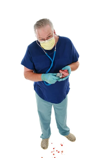 心脏外科医生 心脏外科医生一个移植心脏的医生 带听诊器的心脏外科医生手里拿着一个人的心脏 为人类心脏健康提供医疗支持 被白色隔离了 — 图库照片