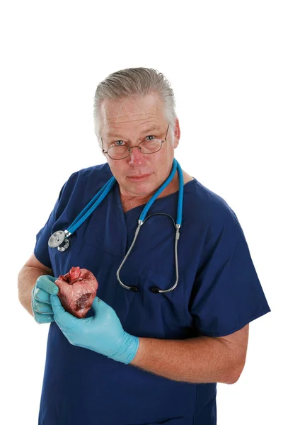 심장외과 심장을 청진기를 가지고 심장외과의 가사람의 심장을 건강을 백인들로부터 고립됨 — 스톡 사진