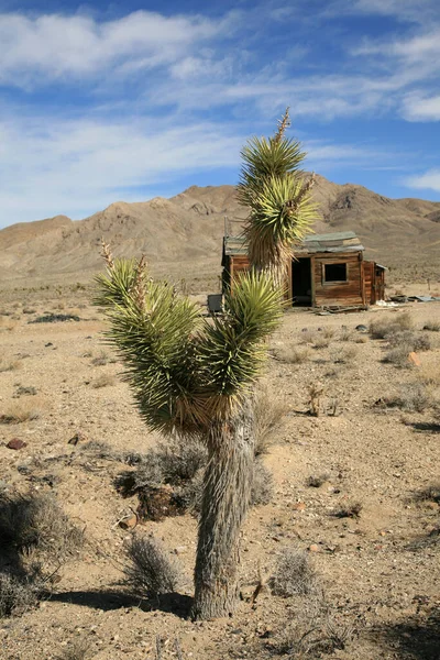 Ciudad Fantasma Ciudad Minera Oro Abandonada Pueblo Fantasma Desierto Salvaje —  Fotos de Stock