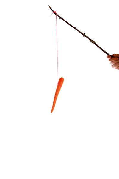 Carota Bastone Isolato Bianco Spazio Messaggi Percorso Ritaglio Carota Arancione — Foto Stock
