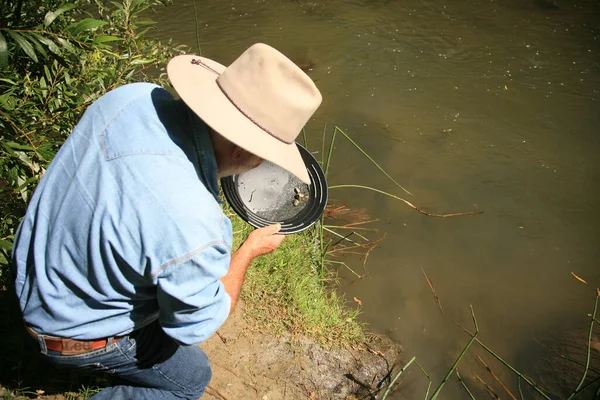 Gold Panning. gold panning, man striking it rich by finding the mother lode or at least a gold nugget or two. looking into the pan for gold. found them golden nuggets. gold pan in the water. Finding Gold. Finding a Gold Vein. panning for gold. Gold.