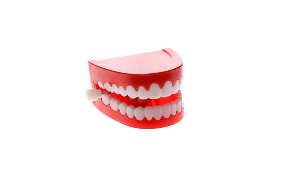 Chattering Teeth False Teeth Dentures Fun Teeth Halloween Teeth Fake — Stock Photo, Image
