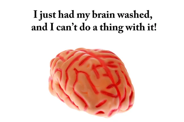 Людський Мозок Мозок Ізольовані Білому Кімната Тексту Шлях Відсікання Мозок — стокове фото