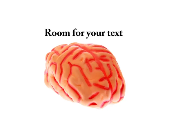 Людський Мозок Мозок Ізольовані Білому Кімната Тексту Шлях Відсікання Мозок — стокове фото