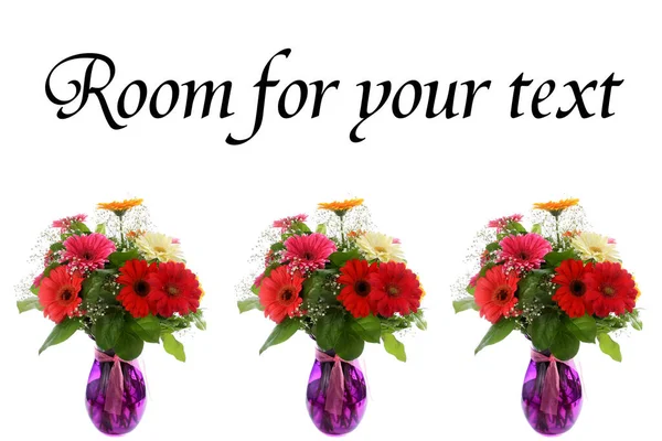 Gerbera Százszorszépek Gerber Százszorszépek Gyönyörű Virágok Egy Levendulavirág Vázában Elkülönítve — Stock Fotó