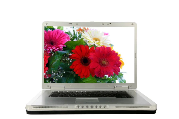 Gerbera Gänseblümchen Auf Einem Computerbildschirm Gerberblümchen Schöne Blumen Einer Lavendelblütenvase — Stockfoto