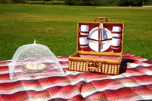 ピクニックだ 夏のピクニック 公園でピクニック 春のランチ ピクニック屋外 休日ピクニック ピクニックの外だ ピクニックバスケット ピクニックランチ 緑の芝生の上の公園で昼食 — ストック写真