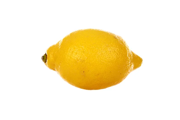 Lemon Meyers Lemon Ripe Whole Lemon Isolated White Room Text — Stock Photo, Image