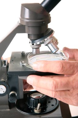 Mikroskop. Beyaz üzerine izole edilmiş. Mesaj için yer var. Kesme yolu. Laboratuar bankında bilim mikroskobu. Mikrobiyoloji laboratuvarı. Laboratuvar araştırmaları için mikroskop. Profesyonel tıbbi laboratuvar mikroskobu. Bilimsel mikroskop merceği. 