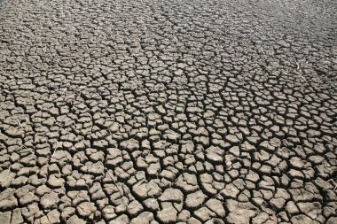 Kuraklık. Küresel Isınma nedeniyle Kuru Çatlak Dünya. İklim değişikliğinin yol açtığı kuraklık. Yakılmış Dünya. Okyanuslar kuruyor. Göller buharlaşıyor. Dünya 'da yıkıcı iklim değişiklikleri. Küresel ısınmanın sonuçları. Çorak tarım arazisi.