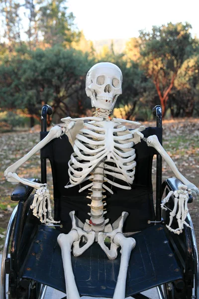 Tekerlekli Sandalyedeki Sakat Iskelet Skelet Tekerlekli Sandalyede — Stok fotoğraf