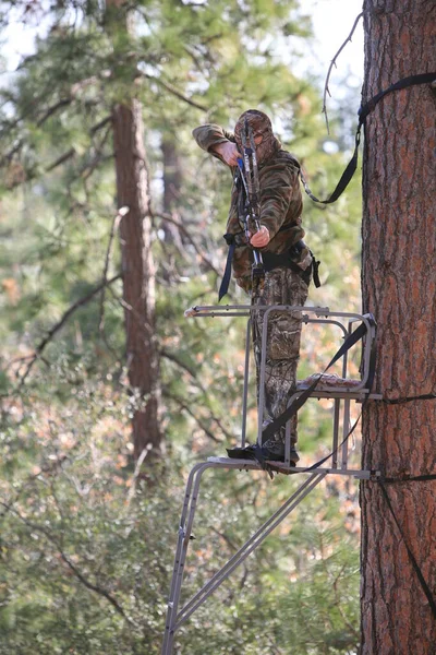 Bow Hunting. Tree Stand. Bow hunter in a ladder style tree stand. Hunting Tree Stand. Bow hunters homemade tree stand. hunting from a stand during the whitetail bow season.