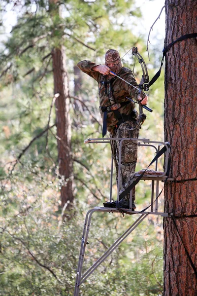 弓狩り ツリースタンド はしごスタイルのツリースタンドで弓ハンター 狩猟ツリースタンド 弓ハンター自家製ツリースタンド ホワイトテール ボウのシーズン中に — ストック写真