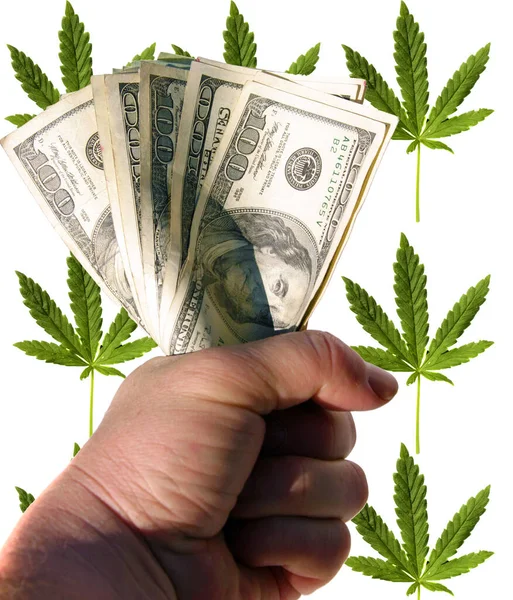 Marihuana Americké Peníze Americká Hotovost Konopí Marihuanový List Stodolarové Bankovky — Stock fotografie
