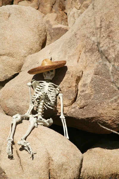 Crime Scene Lost Hiker Skeleton Lost Desert Skeleton Lays Boulder — Stock Photo, Image